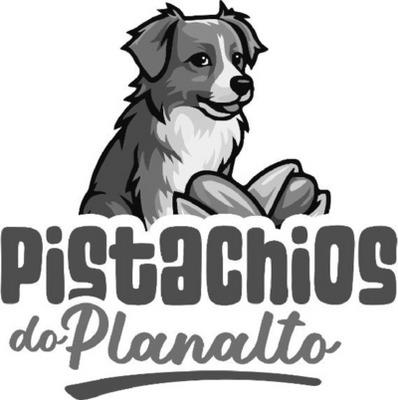 PISTACHIOS DO PLANALTO