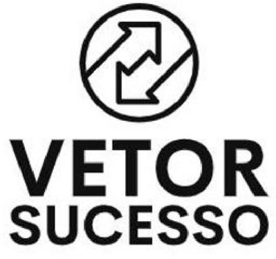 VETOR SUCESSO