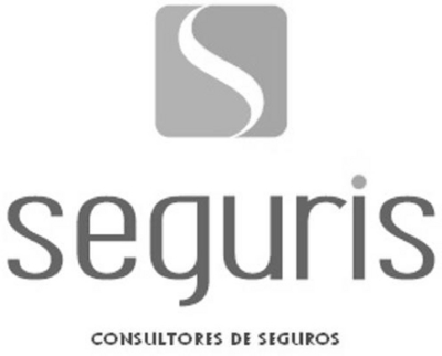 SEGURIS CONSULTORES DE SEGUROS