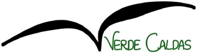 VERDE CALDAS