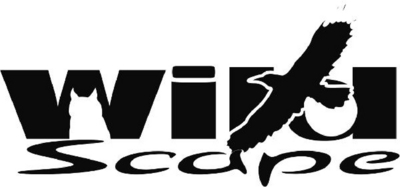 WILDSCAPE