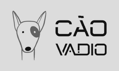 CÃO VADIO