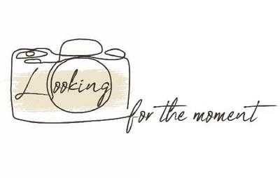 LOOKING FOR THE MOMENT