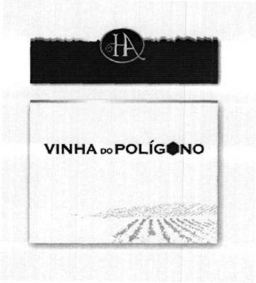 VINHA DO POLÍGONO