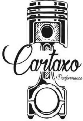 CARTAXO PERFORMANCE