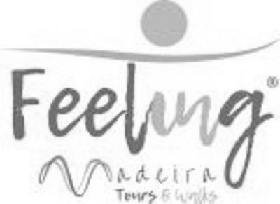 FEELING MADEIRA TOURS & WALKS