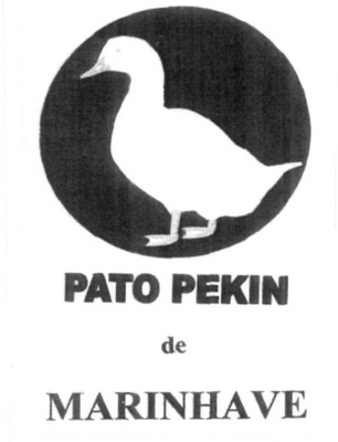 PATO PEKIN DE MARINHAVE