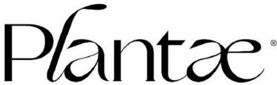 PLANTAE