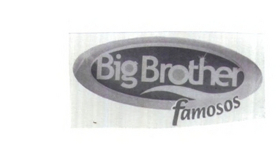 BIG BROTHER FAMOSOS