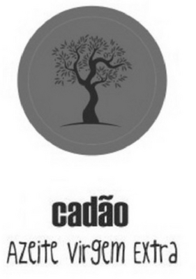 CADÃO AZEITE VIRGEM EXTRA
