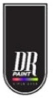 DR PAINT, SINCE 2005