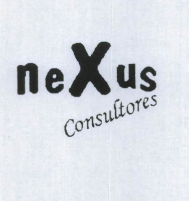 NEXUS CONSULTORES