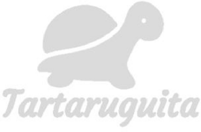 TARTARUGUITA