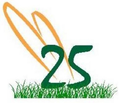 25
