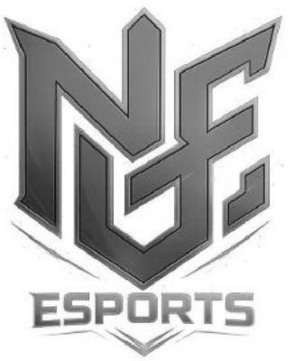 NGE ESPORTS