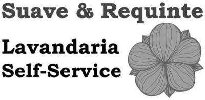 SUAVE & REQUINTE, LAVANDARIA SELF-SERVICE