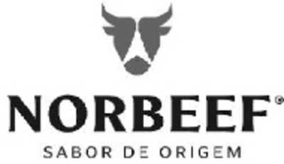NORBEEF SABOR DE ORIGEM