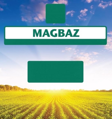 MAGBAZ
