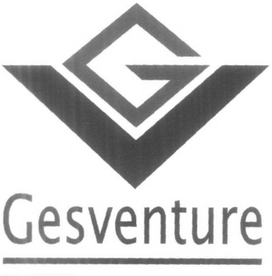 GESVENTURE