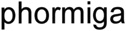 PHORMIGA