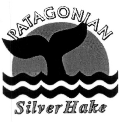 PATAGONIAN SILVER HAKE