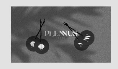 PLENNUS BRAZIL