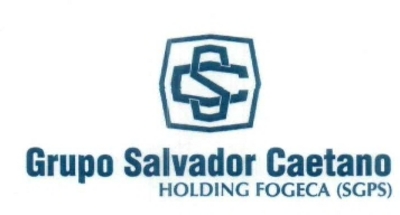 GRUPO SALVADOR CAETANO HOLDING FOGECA ( SGPS)