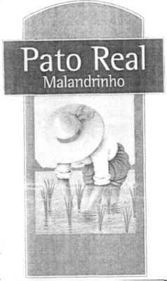 PATO REAL MALANDRINHO
