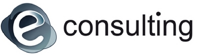 E-CONSULTING
