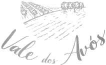 VALE DOS AVÓS