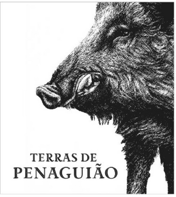 TERRAS DE PENAGUIÃO
