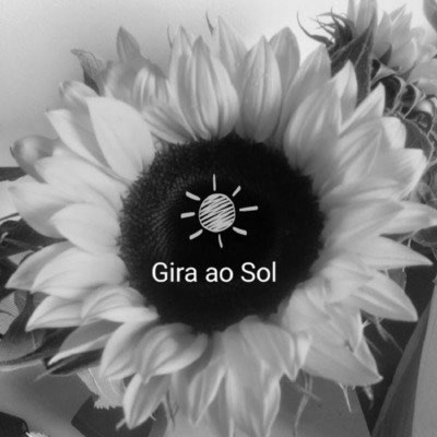 GIRA AO SOL