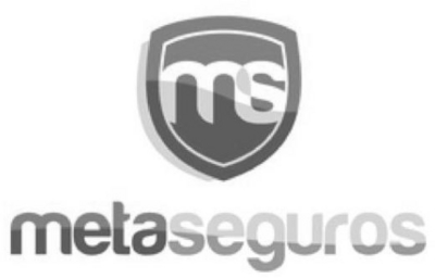 MS METASEGUROS