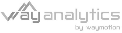 WAYANALYTICS BY WAYMOTION