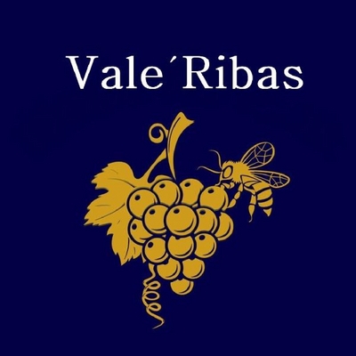 VALE RIBAS