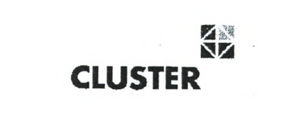 CLUSTER