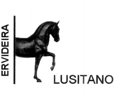 ERVIDEIRA LUSITANO
