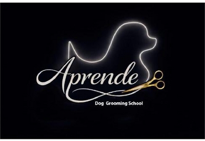 APRENDE - DOG GROOMING SCHOOL