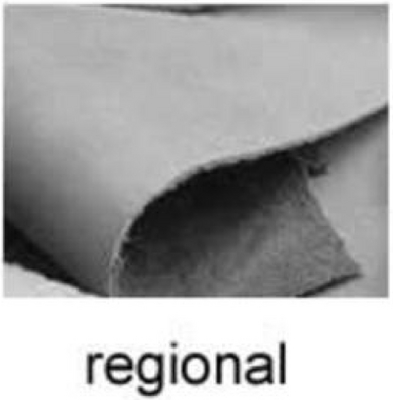 REGIONAL