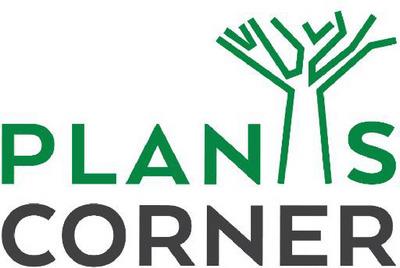 PLANTS CORNER