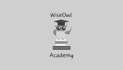 WISEOWL ACADEMY