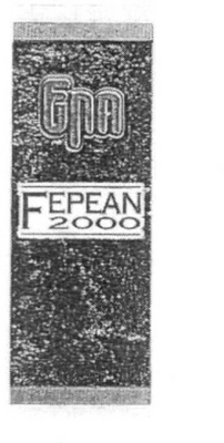 EPA FEPEAN 2000