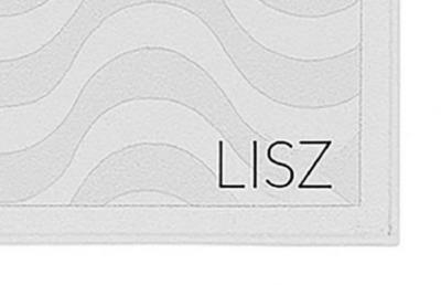 LISZ