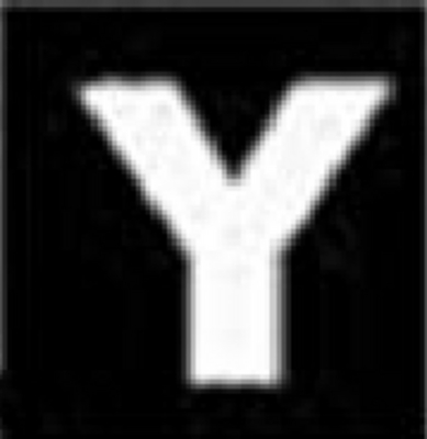 Y