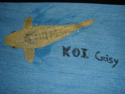 KOI CRISY
