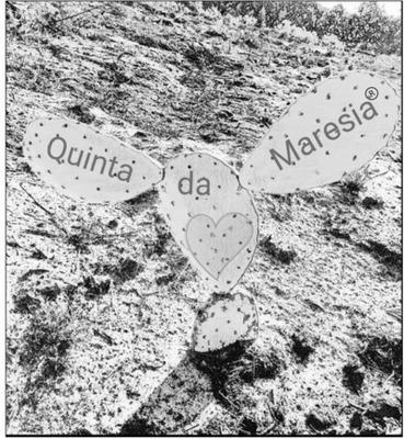 QUINTA DA MARESIA