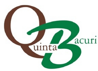 QUINTA BACURI