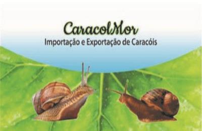 CARACOLMOR IMPORTAÇÃO E EXPORTAÇÃO DE CARACÓIS