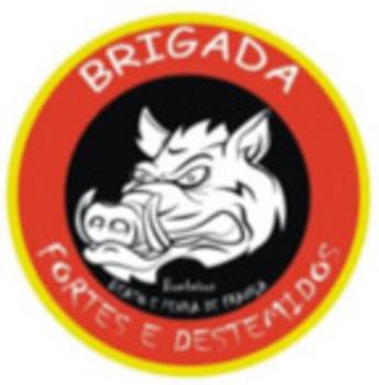 BOMBEIROS BEATO E PENHA DE FRANÇA BRIGADA FORTES E DESTEMIDOS