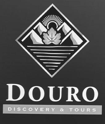 DOURO DISCOVERY & TOURS